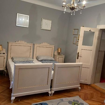 Dominic Studio Apartment Сибиу Екстериор снимка