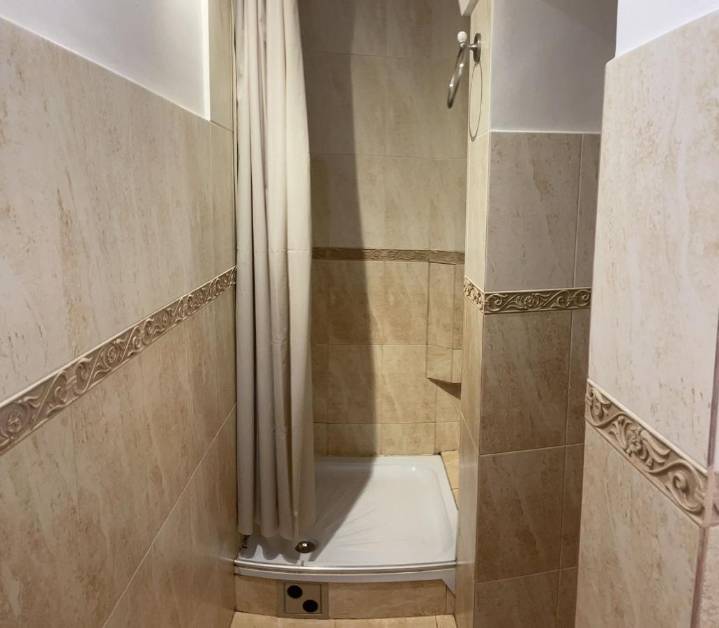 Dominic Studio Apartment Сибиу Екстериор снимка