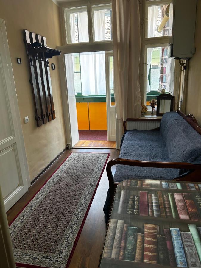 Dominic Studio Apartment Сибиу Екстериор снимка