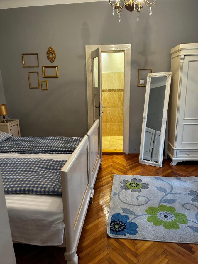 Dominic Studio Apartment Сибиу Екстериор снимка