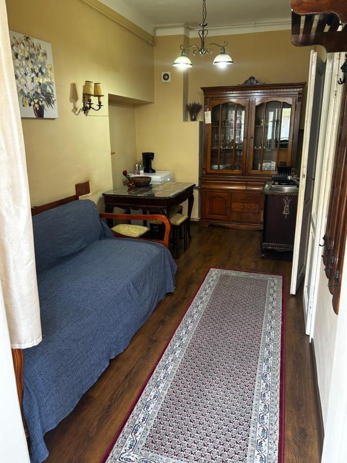 Dominic Studio Apartment Сибиу Екстериор снимка